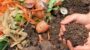 Learn About Composting Day