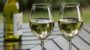 National Pinot Grigio Day-17432