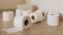 National Toilet Paper Day-17468